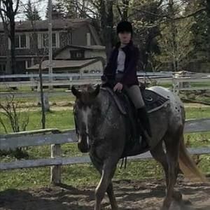 Meet your Posher, Roxanne